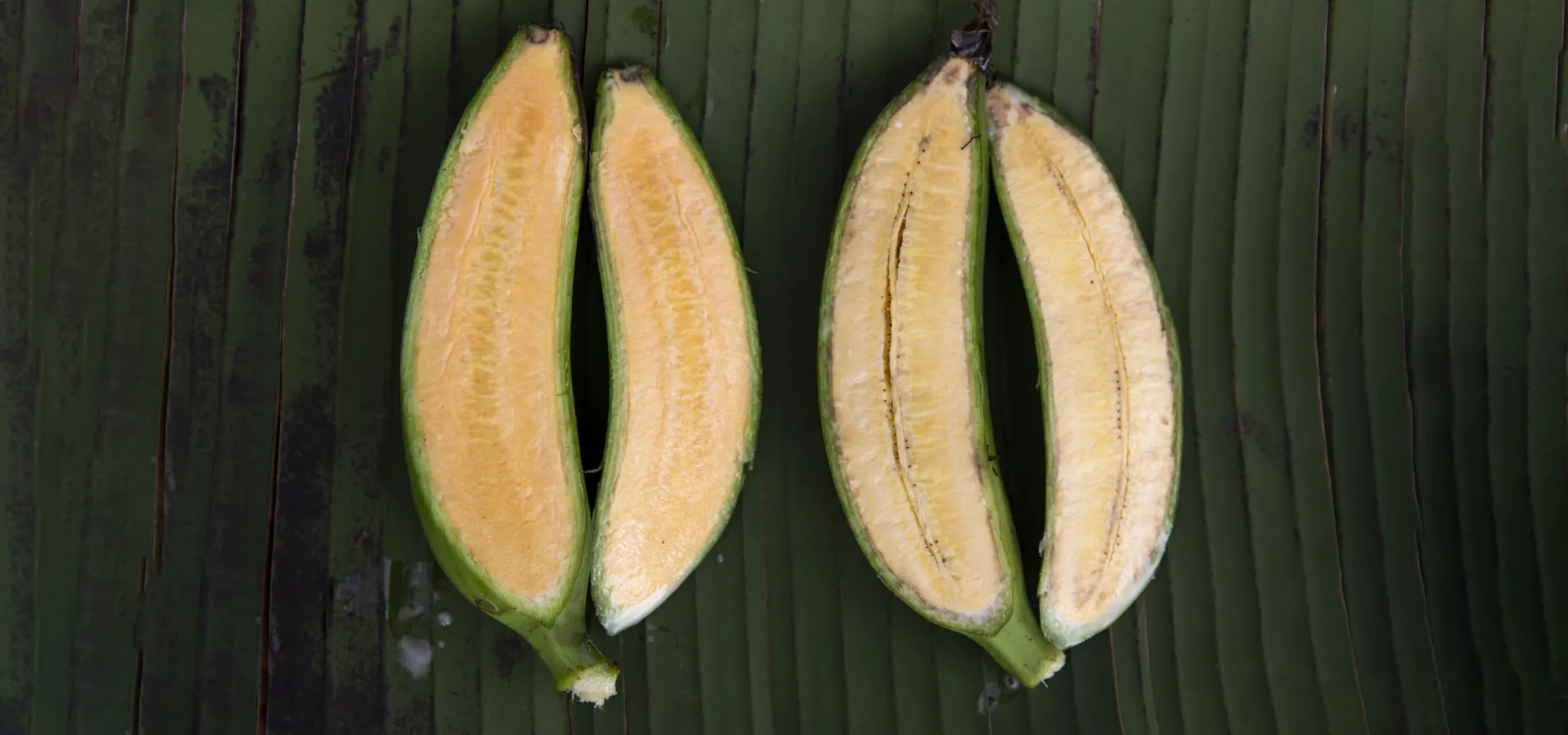 The super banana on the left is modified to contain additional vitamin A