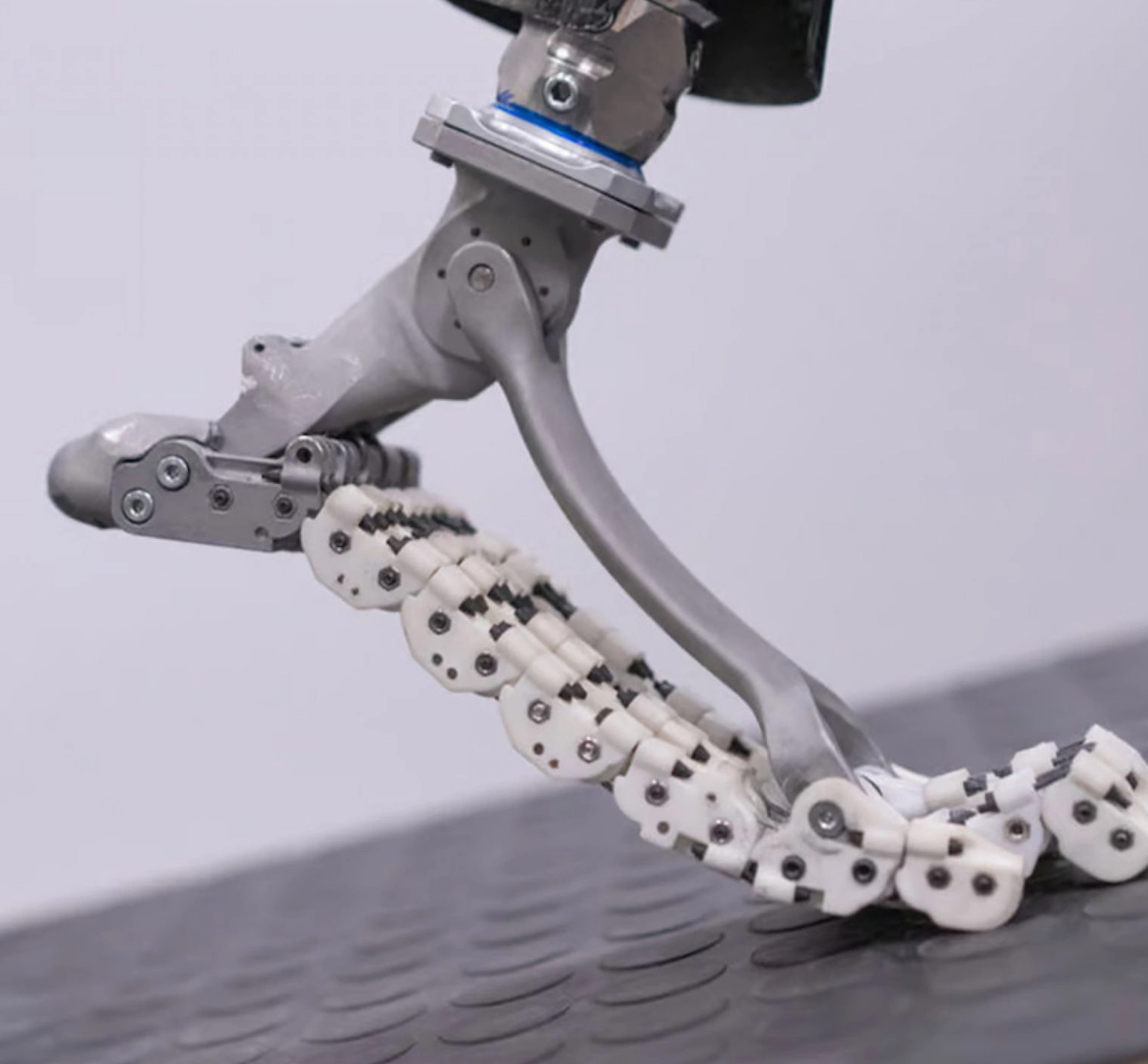 adaptable foot