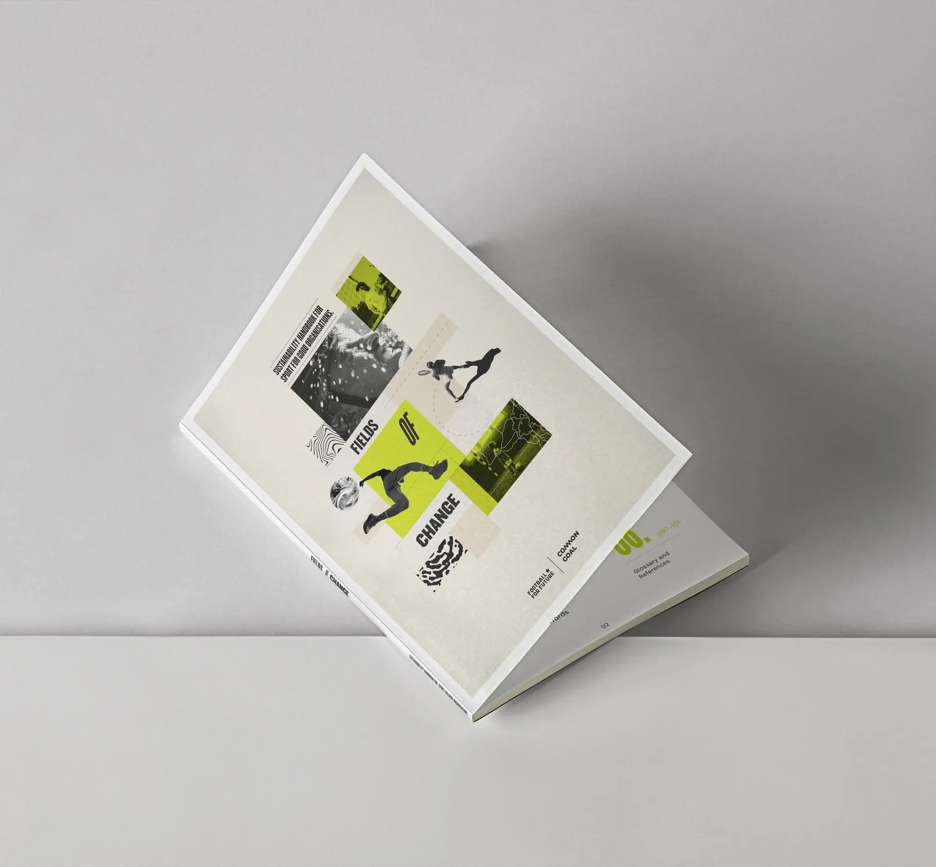 football leaflet on a grey background
