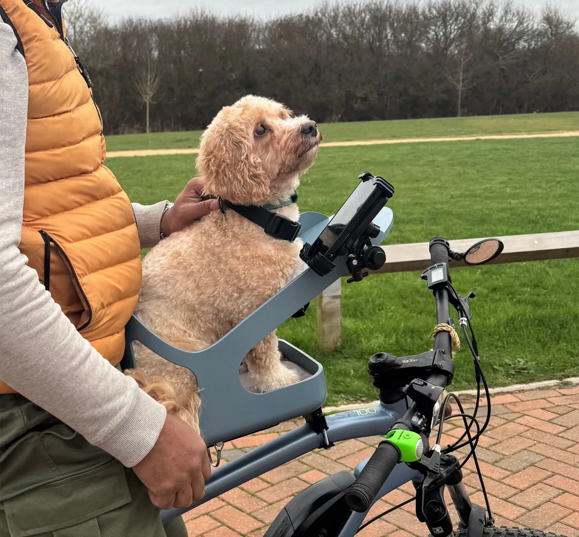 Closeup of a dog in a dog seat attached to a bike