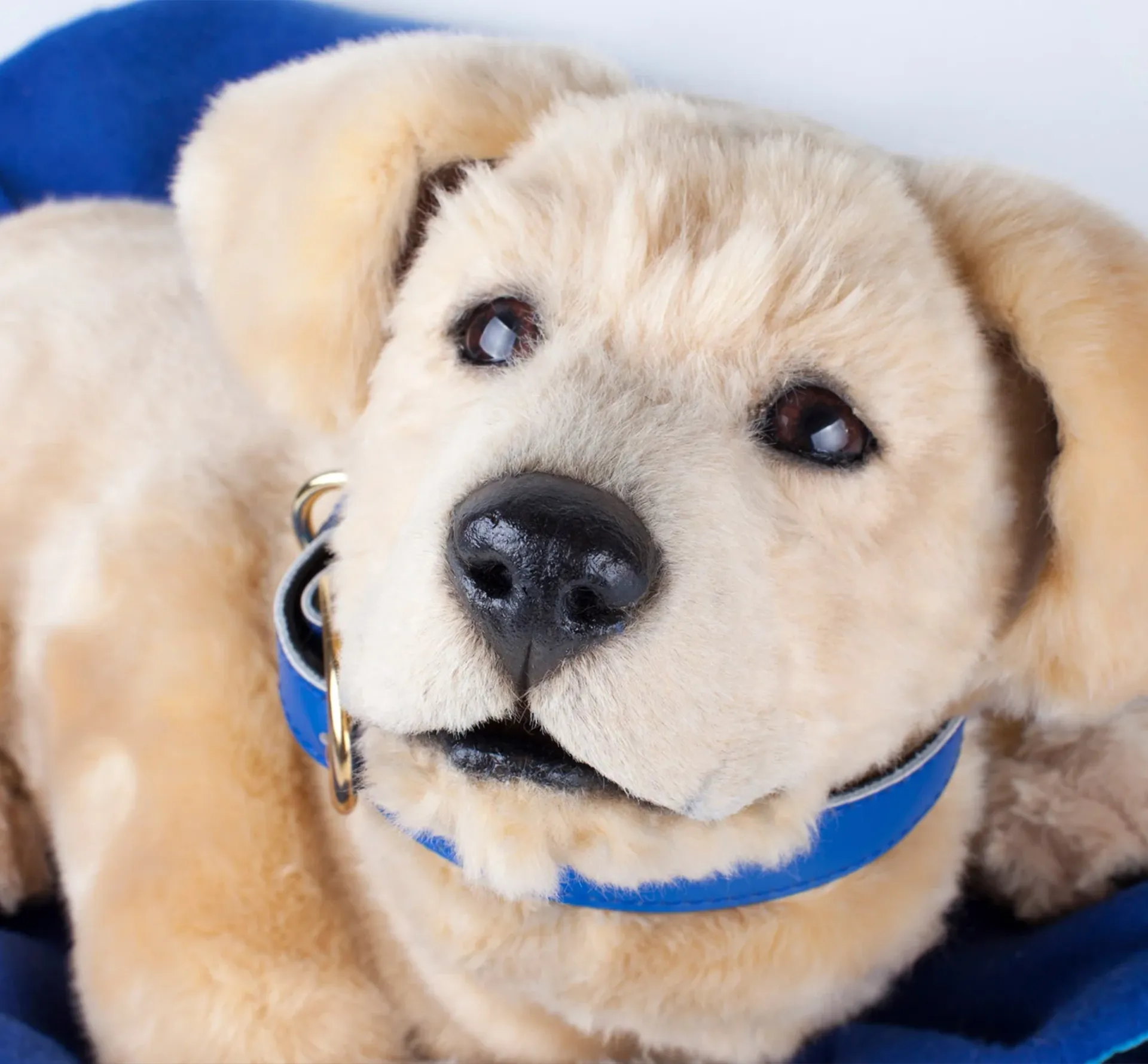 Small realistic robot dog looking at the camera