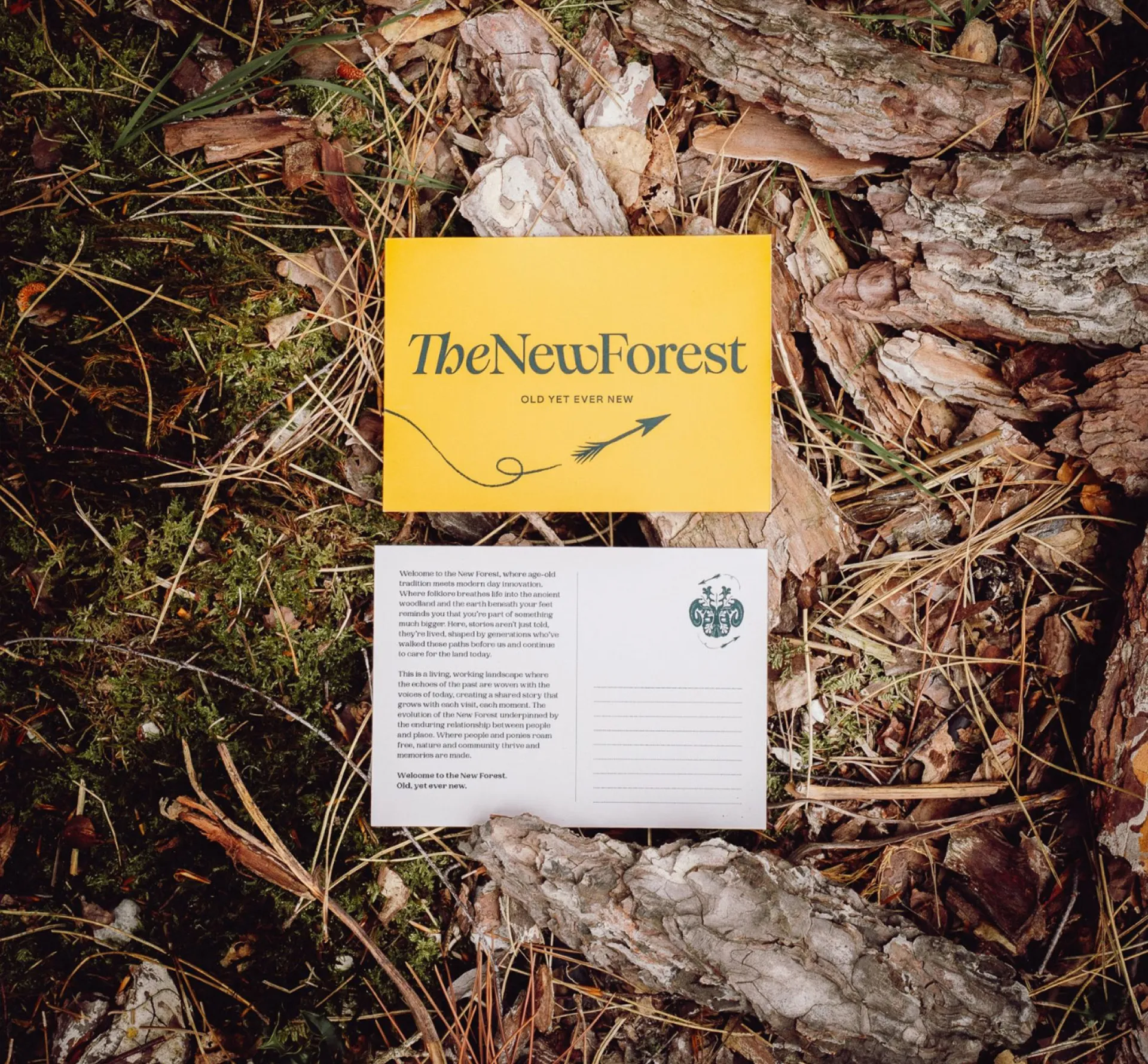 Business card on a forest ground